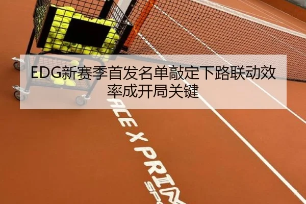 EDG新赛季首发名单敲定下路联动效率成开局关键 | WANMEISPORTS